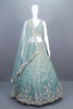 Pastel Green Net Lehenga Lehenga Choli with Dupatta Wear