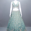 Pastel Green Net Lehenga Lehenga Choli with Dupatta Wear
