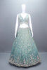 Pastel Green Net Lehenga Lehenga Choli with Dupatta Wear