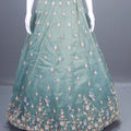 Pastel Green Net Lehenga Lehenga Choli with Dupatta Wear