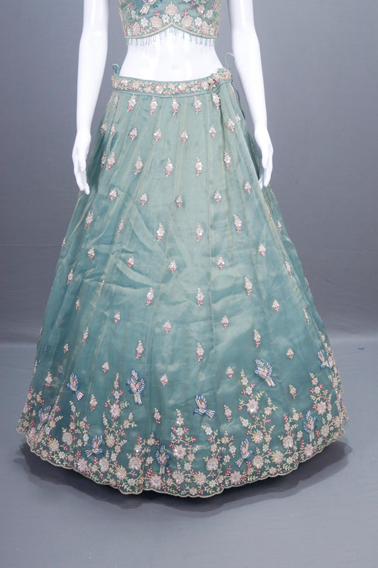 Pastel Green Net Lehenga Lehenga Choli with Dupatta Wear