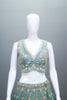 Pastel Green Net Lehenga Lehenga Choli with Dupatta Wear