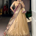Elegant Beige Shimmer Organza Lehenga Choli with Dupatta for Women