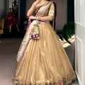 Elegant Beige Shimmer Organza Lehenga Choli with Dupatta for Women