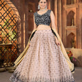 Stylish Beige Faux Georgette Embroidered Lehenga Choli with Designer Dupatta for Wedding