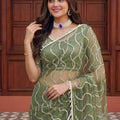 Stylish Pista Green Net Embroidered Saree with Sequins Work for Wedding