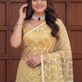 Gracefull Cream Net Embroidered Saree with Sequins Work for Wedding