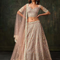 Elegant Pink Heavy Net Embroidered Designer Lehenga Choli with Dupatta for Women