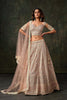 Elegant Pink Heavy Net Embroidered Designer Lehenga Choli with Dupatta for Women