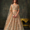Stylish Peach Heavy Net Embroidered Designer Lehenga Choli with Dupatta for Women