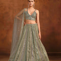 Stunning Light Grey Heavy Net Embroidery Work Designer Lehenga Choli with Dupatta for Women