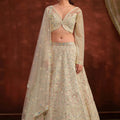 Charming Beige Heavy Net Embroidery Work Designer Lehenga Choli with Dupatta for Women