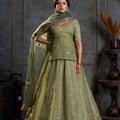 Exquisite Olive Green Organza Embroidered Designer Lehenga Choli with Dupatta for Women