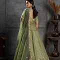 Exquisite Olive Green Organza Embroidered Designer Lehenga Choli with Dupatta for Women