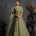 Exquisite Olive Green Organza Embroidered Designer Lehenga Choli with Dupatta for Women