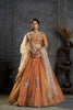 Captivating Rust Orange Organza Embroidered Designer Lehenga Choli with Dupatta for Women
