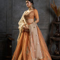 Captivating Rust Orange Organza Embroidered Designer Lehenga Choli with Dupatta for Women