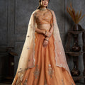 Captivating Rust Orange Organza Embroidered Designer Lehenga Choli with Dupatta for Women