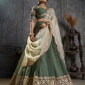 Magnificent Rama Green Organza Embroidered Designer Lehenga Choli with Dupatta for Women