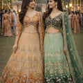 Stunning Orange Embroidered Readymade Net Lehenga Choli with Dupatta for Women
