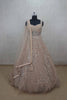 Pale Peach Net Evening Gown with Sequin Embroidery - Mangaldeep NX