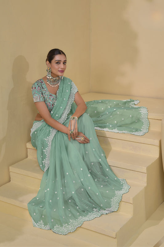 Elegant Mint Green Organza Saree Designer Blouse