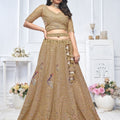 Superb Brown Embroidered Net Lehenga Choli With Dupatta - Mangaldeep NX