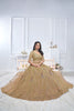 Superb Brown Embroidered Net Lehenga Choli With Dupatta - Mangaldeep NX