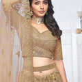 Superb Brown Embroidered Net Lehenga Choli With Dupatta - Mangaldeep NX