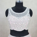 Trendy Baby Pink Net Lehenga Sleeveless Choli - Mangaldeep NX
