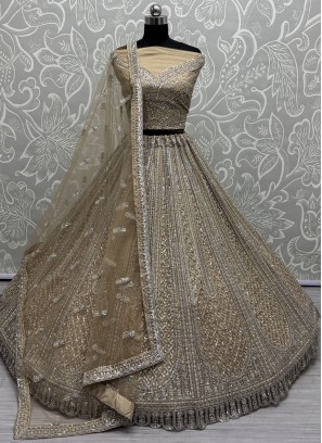 Beige and Gold Net Trendy Lehenga Choli