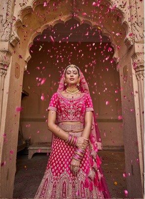 Pink  Color Embroidered, Stone, Mirror Work Lehenga